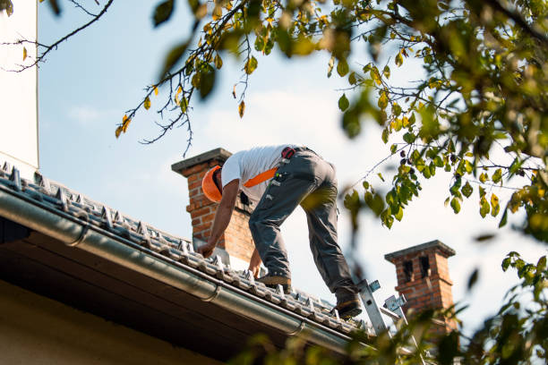 Best Residential Roofing Contractor  in Valley View, PA