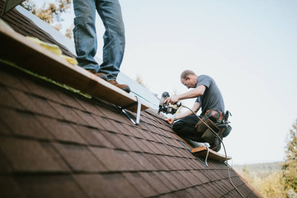 Quick and Trustworthy Emergency Roof Repair Services in Valley View, PA